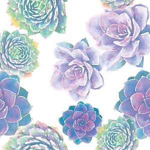 Meet your Posher, Maddie